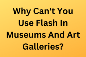 Why Can't You Use Flash In Museums And Art Galleries